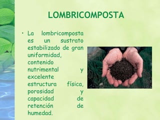 LOMBRICOMPOSTA La lombricomposta es un sustrato estabilizado de gran uniformidad, contenido nutrimental y excelente estructura física, porosidad y capacidad de retención de humedad. 
