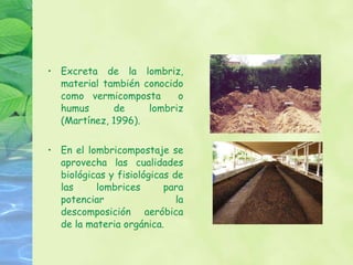 Excreta de la lombriz, material también conocido como vermicomposta  o humus de lombriz (Martínez, 1996).  En el lombricompostaje se aprovecha las cualidades biológicas y fisiológicas de las lombrices para potenciar la descomposición aeróbica de la materia orgánica.   