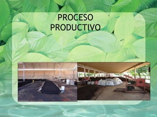 PROCESO PRODUCTIVO 