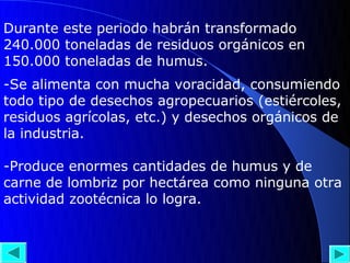 Durante este periodo habrán transformado
240.000 toneladas de residuos orgánicos en
150.000 toneladas de humus.
-Se alimenta con mucha voracidad, consumiendo
todo tipo de desechos agropecuarios (estiércoles,
residuos agrícolas, etc.) y desechos orgánicos de
la industria.

-Produce enormes cantidades de humus y de
carne de lombriz por hectárea como ninguna otra
actividad zootécnica lo logra.
 