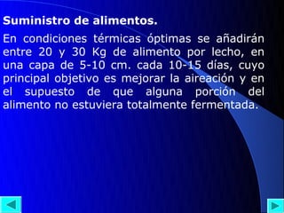 Suministro de alimentos.
En condiciones térmicas óptimas se añadirán
entre 20 y 30 Kg de alimento por lecho, en
una capa de 5-10 cm. cada 10-15 días, cuyo
principal objetivo es mejorar la aireación y en
el supuesto de que alguna porción del
alimento no estuviera totalmente fermentada.
 