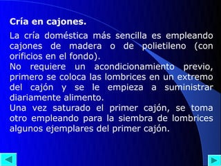Cría en cajones.
La cría doméstica más sencilla es empleando
cajones de madera o de polietileno (con
orificios en el fondo).
No requiere un acondicionamiento previo,
primero se coloca las lombrices en un extremo
del cajón y se le empieza a suministrar
diariamente alimento.
Una vez saturado el primer cajón, se toma
otro empleando para la siembra de lombrices
algunos ejemplares del primer cajón.
 