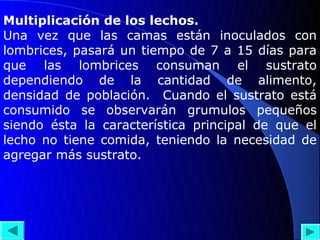 Multiplicación de los lechos.
Una vez que las camas están inoculados con
lombrices, pasará un tiempo de 7 a 15 días para
que las lombrices consuman el sustrato
dependiendo de la cantidad de alimento,
densidad de población. Cuando el sustrato está
consumido se observarán grumulos pequeños
siendo ésta la característica principal de que el
lecho no tiene comida, teniendo la necesidad de
agregar más sustrato.
 