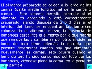 El alimento preparado se coloca a lo largo de las
camas (parte media longitudinal de la canoa o
cama).     Este sistema permite controlar si el
alimento es apropiado o está correctamente
preparado, siendo después de 2 ó 3 días si el
interior del lomo se encuentran las lombrices
colonizando el alimento nuevo, la ausencia de
lombrices descalifica el alimento por lo que habría
que removerlas y cambiarlas por otro, el sistema
lomo de toro tiene además la entrada que
permite determinar cuando hay que alimentar
nuevamente las camas, esto ocurre cuando el
lomo de toro ha sido consumido del todo por las
lombrices, viéndose plana la cama en la parte de
la superficie.
 