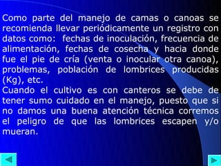 Como parte del manejo de camas o canoas se
recomienda llevar periódicamente un registro con
datos como: fechas de inoculación, frecuencia de
alimentación, fechas de cosecha y hacia donde
fue el pie de cría (venta o inocular otra canoa),
problemas, población de lombrices producidas
(Kg), etc.
Cuando el cultivo es con canteros se debe de
tener sumo cuidado en el manejo, puesto que si
no damos una buena atención técnica corremos
el peligro de que las lombrices escapen y/o
mueran.
 