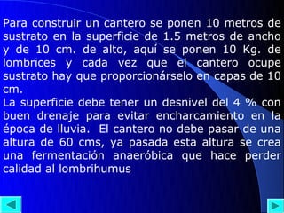 Para construir un cantero se ponen 10 metros de
sustrato en la superficie de 1.5 metros de ancho
y de 10 cm. de alto, aquí se ponen 10 Kg. de
lombrices y cada vez que el cantero ocupe
sustrato hay que proporcionárselo en capas de 10
cm.
La superficie debe tener un desnivel del 4 % con
buen drenaje para evitar encharcamiento en la
época de lluvia. El cantero no debe pasar de una
altura de 60 cms, ya pasada esta altura se crea
una fermentación anaeróbica que hace perder
calidad al lombrihumus
 