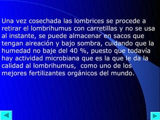 Una vez cosechada las lombrices se procede a
retirar el lombrihumus con carretillas y no se usa
al instante, se puede almacenar en sacos que
tengan aireación y bajo sombra, cuidando que la
humedad no baje del 40 %, puesto que todavía
hay actividad microbiana que es la que le da la
calidad al lombrihumus, como uno de los
mejores fertilizantes orgánicos del mundo.
 
