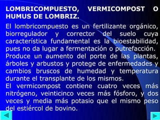 LOMBRICOMPUESTO,         VERMICOMPOST         O
HUMUS DE LOMBRIZ.
El lombricompuesto es un fertilizante orgánico,
biorregulador y corrector del suelo cuya
característica fundamental es la bioestabilidad,
pues no da lugar a fermentación o putrefacción.
Produce un aumento del porte de las plantas,
árboles y arbustos y protege de enfermedades y
cambios bruscos de humedad y temperatura
durante el transplante de los mismos.
El vermicompost contiene cuatro veces más
nitrógeno, veinticinco veces más fósforo, y dos
veces y media más potasio que el mismo peso
del estiércol de bovino.
 