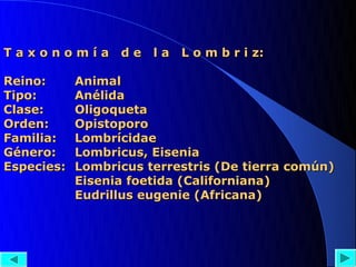 T a x o n o m í a d e l a L o m b r i z:

Reino:      Animal
Tipo:       Anélida
Clase:      Oligoqueta
Orden:      Opistoporo
Familia:    Lombrícidae
Género:     Lombricus, Eisenia
Especies:   Lombricus terrestris (De tierra común)
            Eisenia foetida (Californiana)
            Eudrillus eugenie (Africana)
 