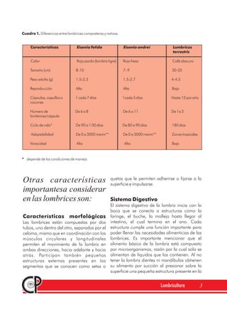 Cuadro 1.
Características
Diferencias entre lombrices composteras y nativas.
Color Rojo pardo (lornbriz tigre) Rojo fresa Café obscuro
Tamaño (cm) 8-10 7- 9 30-35
Peso adulta (g) 1.5-2.3 1.5-2.7 4-4.5
Reproducción Alta Alta Baja
Cápsulas, capullos o 1 cada 7 días 1cada 5 días Hasta 12 por año
cocones
Número de De 6 a 8 De 6 a 11 De 1a 2
lornbrices/cápsula
Ciclo de vida* De 90 a 1 00 días De 80 a 90 días 180 días
Adaptabilidad De 0 a 3000 msnm** De 0 a 3000 rnsnm** Zonas tropicales
Voracidad Alta Alta Baja
Eisenia fetida Eisenia andrei Lumbricus
terrestris
* depende de las condiciones de manejo
Otras características
importantesa considerar
enlaslombricesson:
Características morfológicas
Las lombrices están compuestas por dos
tubos, uno dentro del otro, separados por el
celoma, mismo que en coordinación con los
músculos circulares y longitudinales
permiten el movimiento de la lombriz en
ambas direcciones, hacia adelante y hacia
atrás. Participan también pequeñas
estructuras externas presentes en los
segmentos que se conocen como setas o
quetas que le permiten adherirse o fijarse a la
superficie e impulsarse.
El sistema digestivo de la lombriz inicia con la
boca que se conecta a estructuras como la
faringe, el buche, la molleja hasta llegar al
intestino, el cual termina en el ano. Cada
estructura cumple una función importante para
poder llenar las necesidades alimenticias de las
lombrices. Es importante mencionar que el
alimento básico de la lombriz está compuesto
por microorganismos, razón por la cual solo se
alimentan de líquidos que los contienen. Al no
tener la lombriz dientes ni mandíbulas obtienen
su alimento por succión al presionar sobre la
superficie una pequeña estructura presente en la
Sistema Digestivo
Lombricultura 3
 
