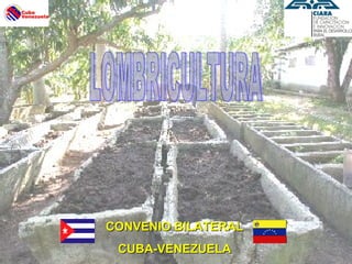 CONVENIO BILATERALCONVENIO BILATERAL
CUBA-VENEZUELACUBA-VENEZUELA
 