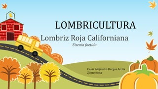 LOMBRICULTURA
Lombriz Roja Californiana
Eisenia foetida
Cesar Alejandro Burgos Arcila
Zootecnista
 