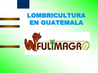 LOMBRICULTURA EN GUATEMALA 