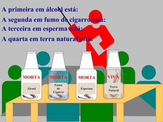Terra Natural Fumo de Cigarro Esperma Álcool A primeira em álcool está: A segunda em fumo de cigarro está: A terceira em esperma está: A quarta em terra natural está: MORTA MORTA MORTA VIVA 