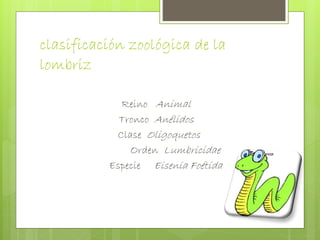 clasificación zoológica de la 
lombriz 
Reino Animal 
Tronco Anélidos 
Clase Oligoquetos 
Orden Lumbricidae 
Especie Eisenia Foétida 
 