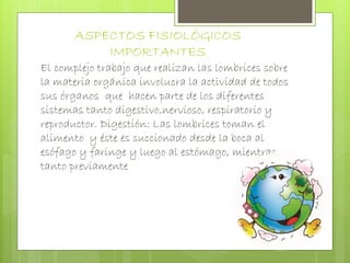 ASPECTOS FISIOLÓGICOS 
IMPORTANTES 
El complejo trabajo que realizan las lombrices sobre 
la materia orgánica involucra la actividad de todos 
sus órganos que hacen parte de los diferentes 
sistemas tanto digestivo,nervioso, respiratorio y 
reproductor. Digestión: Las lombrices toman el 
alimento y éste es succionado desde la boca al 
esófago y faringe y luego al estómago, mientras 
tanto previamente 
 