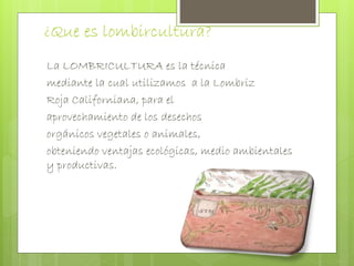 ¿Que es lombircultura? 
La LOMBRICULTURA es la técnica 
mediante la cual utilizamos a la Lombriz 
Roja Californiana, para el 
aprovechamiento de los desechos 
orgánicos vegetales o animales, 
obteniendo ventajas ecológicas, medio ambientales 
y productivas. 
 