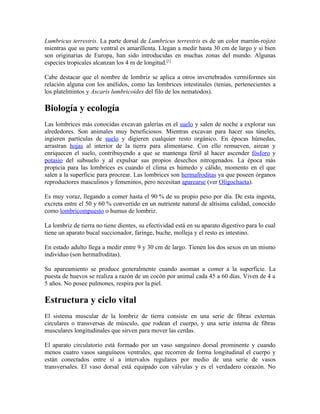 Lumbricus terrestris. La parte dorsal de Lumbricus terrestris es de un color marrón-rojizo
mientras que su parte ventral es amarillenta. Llegan a medir hasta 30 cm de largo y si bien
son originarias de Europa, han sido introducidas en muchas zonas del mundo. Algunas
especies tropicales alcanzan los 4 m de longitud.[1]

Cabe destacar que el nombre de lombriz se aplica a otros invertebrados vermiformes sin
relación alguna con los anélidos, como las lombrices intestinales (tenias, pertenecientes a
los platelmintos y Ascaris lumbricoides del filo de los nematodos).

Biología y ecología
Las lombrices más conocidas excavan galerías en el suelo y salen de noche a explorar sus
alrededores. Son animales muy beneficiosos. Mientras excavan para hacer sus túneles,
ingieren partículas de suelo y digieren cualquier resto orgánico. En épocas húmedas,
arrastran hojas al interior de la tierra para alimentarse. Con ello remueven, airean y
enriquecen el suelo, contribuyendo a que se mantenga fértil al hacer ascender fósforo y
potasio del subsuelo y al expulsar sus propios desechos nitrogenados. La época más
propicia para las lombrices es cuando el clima es húmedo y cálido, momento en el que
salen a la superficie para procrear. Las lombrices son hermafroditas ya que poseen órganos
reproductores masculinos y femeninos, pero necesitan aparearse (ver Oligochaeta).

Es muy voraz, llegando a comer hasta el 90 % de su propio peso por día. De esta ingesta,
excreta entre el 50 y 60 % convertido en un nutriente natural de altísima calidad, conocido
como lombricompuesto o humus de lombriz.

La lombriz de tierra no tiene dientes, su efectividad está en su aparato digestivo para lo cual
tiene un aparato bucal succionador, faringe, buche, molleja y el resto es intestino.

En estado adulto llega a medir entre 9 y 30 cm de largo. Tienen los dos sexos en un mismo
individuo (son hermafroditas).

Su apareamiento se produce generalmente cuando asoman a comer a la superficie. La
puesta de huevos se realiza a razón de un cocón por animal cada 45 a 60 días. Viven de 4 a
5 años. No posee pulmones, respira por la piel.

Estructura y ciclo vital
El sistema muscular de la lombriz de tierra consiste en una serie de fibras externas
circulares o transversas de músculo, que rodean el cuerpo, y una serie interna de fibras
musculares longitudinales que sirven para mover las cerdas.

El aparato circulatorio está formado por un vaso sanguíneo dorsal prominente y cuando
menos cuatro vasos sanguíneos ventrales, que recorren de forma longitudinal el cuerpo y
están conectados entre sí a intervalos regulares por medio de una serie de vasos
transversales. El vaso dorsal está equipado con válvulas y es el verdadero corazón. No
 