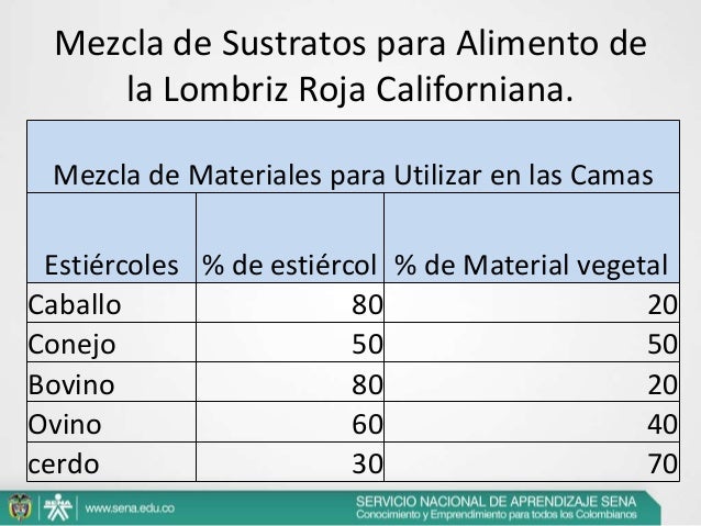 Las lombrices y las lamblias el tratamiento