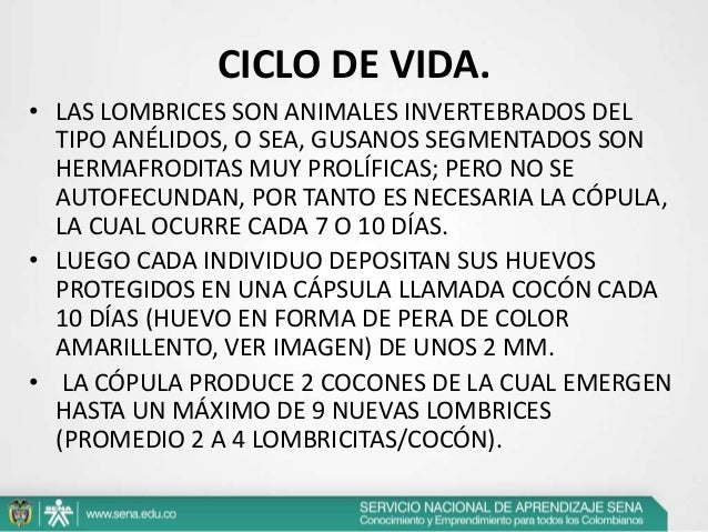 Las vías del establecimiento de los helmintos