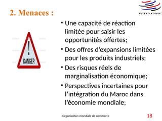 2. Menaces :
• Une capacité de réaction
limitée pour saisir les
opportunités offertes;
• Des offres d’expansions limitées
pour les produits industriels;
• Des risques réels de
marginalisation économique;
• Perspectives incertaines pour
l’intégration du Maroc dans
l’économie mondiale;
Organisation mondiale de commerce 18
 