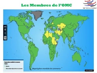 Les Membres de l’OMC
5
Organisation mondiale de commerce
 