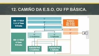 12. CAMIÑO DA E.S.O. OU FP BÁSICA. 
 