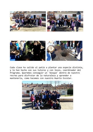 Cada clase ha salido al patio a plantar una especie distinta,
y lo han hecho con sus tutores y con Jesús, coordinador del
Programa. Queremos conseguir un ¨bosque¨ dentro de nuestro
recreo para disfrutar de la naturaleza y aprender a
mantenerla, como hacemos con nuestro Huerto Escolar.
 