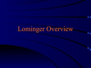 Lominger Overview 