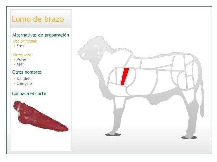 lomo de res