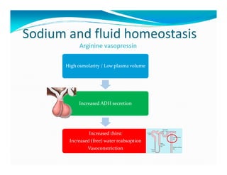Sodium and fluid homeostasis
            Arginine vasopressin

      High osmolarity / Low plasma volume




           Increased ADH secretion




                Increased thirst
       Increased (free) water reabsoption
               Vasoconstriction
 