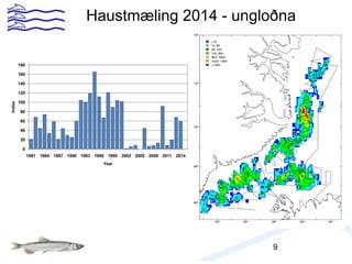 Haustmæling 2014 - ungloðna
9
0
20
40
60
80
100
120
140
160
180
1981 1984 1987 1990 1993 1996 1999 2002 2005 2008 2011 2014
Year
Index
 