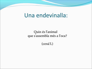 Una endevinalla:

     Quin és l'animal
 que s'assembla més a l'oca?

          (cenà’L)
 
