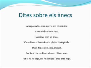 Dites sobre els ànecs
    Amagueu els ànecs, que vénen els músics.

             Anar moll com un ànec.

              Caminar com un ànec.

  Cant d'ànec a la matinada, pluja a la vesprada.

          Dues dones i un ànec, mercat.

    Per Sant Lluc ve l’ànec de mar i l’ànec mut.

 Per si no ho saps, res millor que l’ànec amb naps.
 