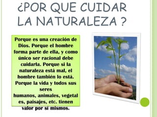 ¿POR QUE CUIDAR
LA NATURALEZA ?
Porque es una creación de
Dios. Porque el hombre
forma parte de ella, y como
único ser racional debe
cuidarla. Porque si la
naturaleza está mal, el
hombre también lo está.
Porque la vida y todos sus
seres
humanos, animales, vegetal
es, paisajes, etc. tienen
valor por sí mismos.

 