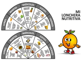 EJEMPLOS DE LONCHERAS
 