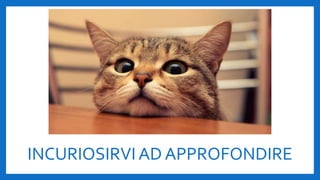 INCURIOSIRVI AD APPROFONDIRE
 
