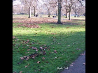 Hyde Park 