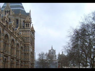 Natural History Museum 