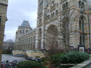 Natural History Museum 