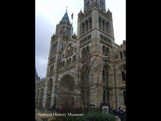 Natural History Museum 