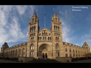 Natural History Museum 