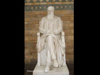 Natural History Museum 