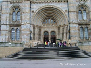 Natural History Museum 
