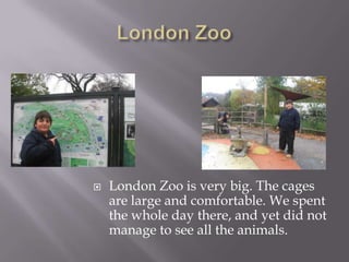 London ZooLondon Zoo is very big. The cages are large and comfortable. We spent the whole day there, and yet did not manage to see all the animals.