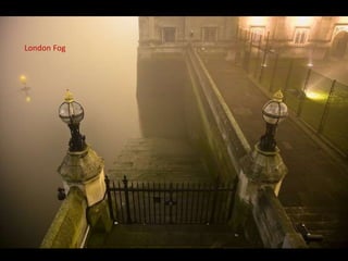 London Fog
 