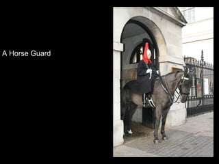 A Horse Guard

 