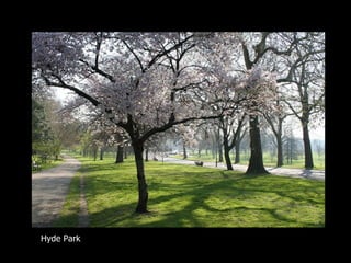 Hyde Park 