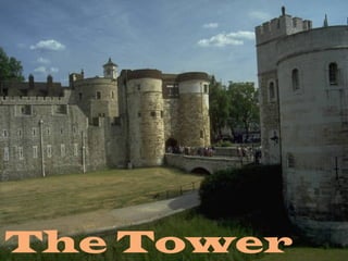 The Tower
 