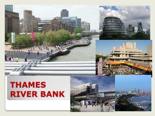 THAMES
RIVER BANK
 